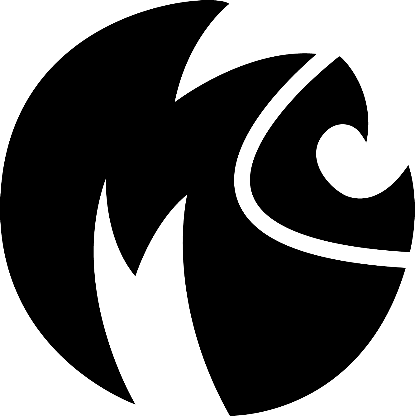 COGITEX%20SYSTEMS